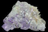 Lustrous Purple Cubic Fluorite Crystals - Morocco #80300-1
